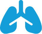 Lungs